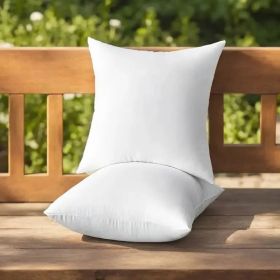 Throw Pillows, 2pack (Option: 20inchx20inch)